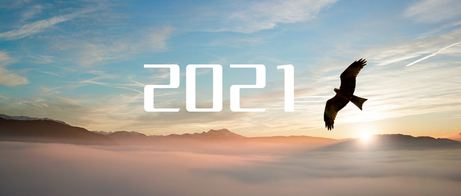 乘“峰”而上，智“盈”未来 ——2021年918博天堂环境高级资深副总裁新年开工动员